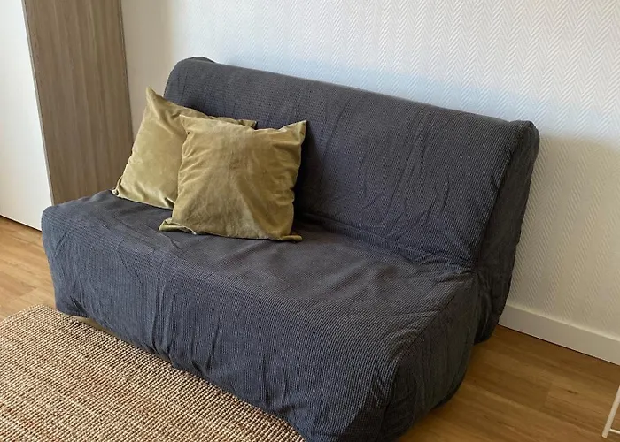 Appartement 1 Piece, Hyper Centre, Grosse Horloge